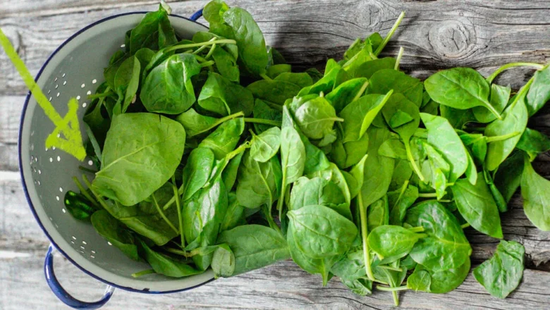 11 Health Benefits of Spinach, Description, and Side Effects