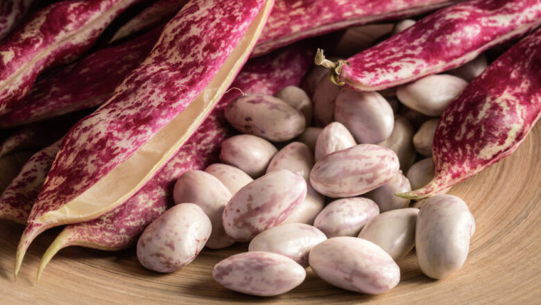 Cranberry Beans: 10 Health Benefits of Borlotti Beans, Description, and Side Effects