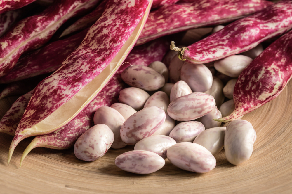 benefits of Cranberry Beans