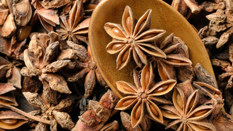 10 Health Benefits of Anise, Description, and Side Effects
