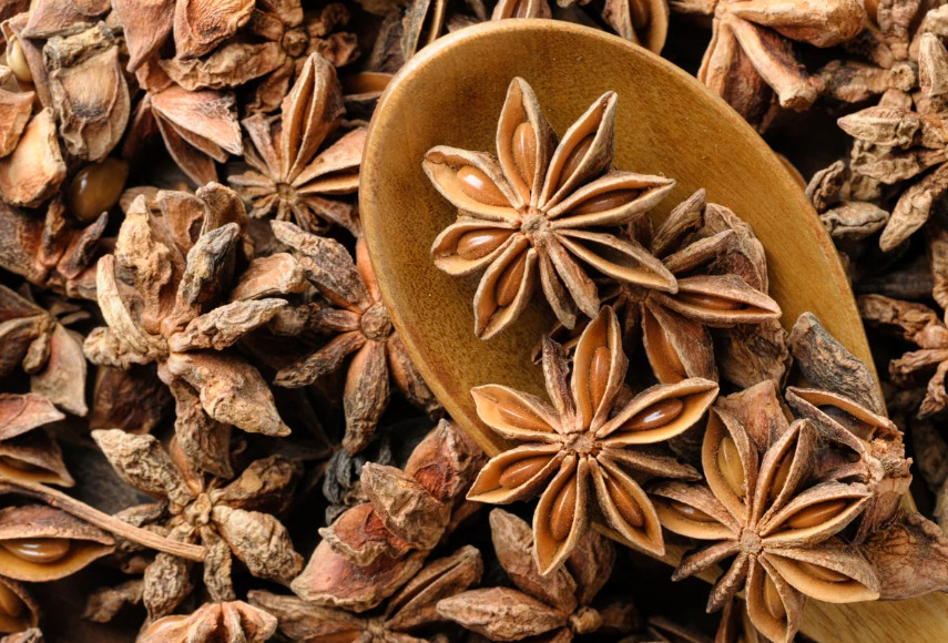 benefits-of-anise