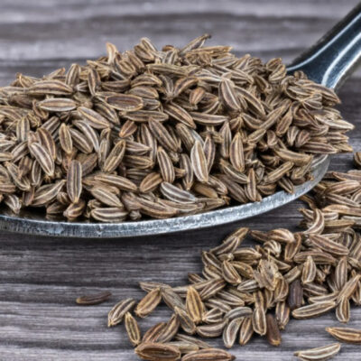 10 Health Benefits of Caraway, Description, and Side Effects