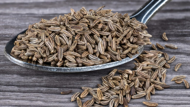 10 Health Benefits of Caraway, Description, and Side Effects