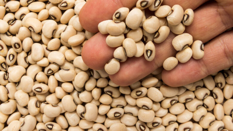 Black Eyed Peas: 12 Health Benefits of Cowpeas, Description, and Side Effects