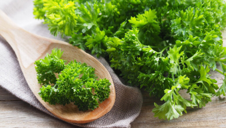 12 Health Benefits of Parsley, Description, and Side Effects