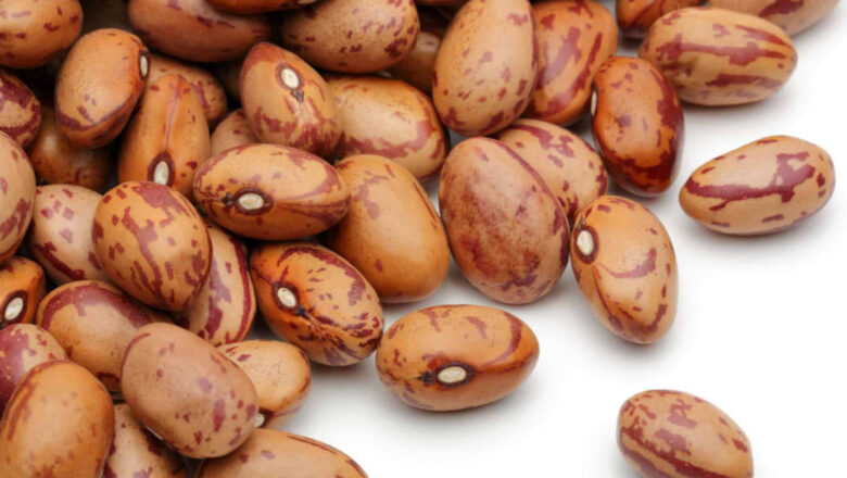 12 Health Benefits of Pinto Beans, Description, and Side Effects
