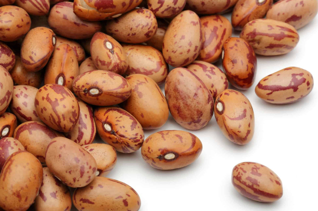 benefits-of-pinto-beans