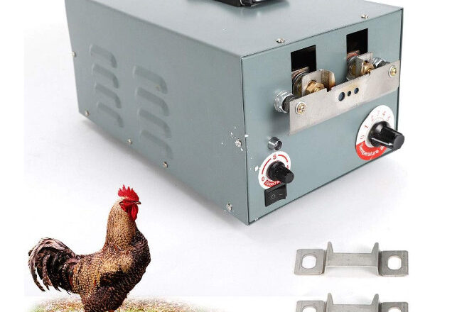 5 Best Chicken Debeaking Machines in 2024
