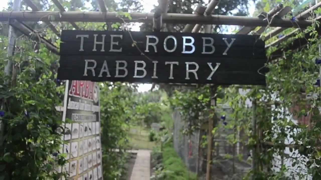 rabbitry-in-Batangas