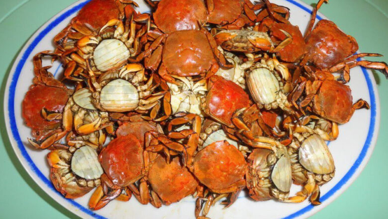 Talangka Crab Description and Health Benefits