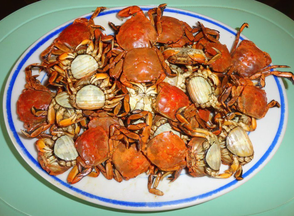 talangka-crab