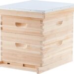 Wooden Beehive vs Plastic Beehive Pros and Cons