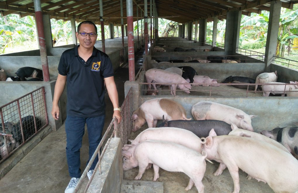 Pig farm in the Philippines - calabarzon
