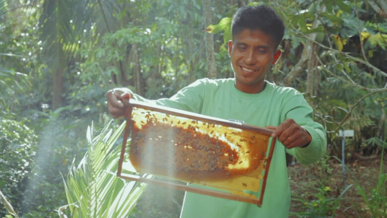 DA’s Beekeeping Program Set to Go Nationwide