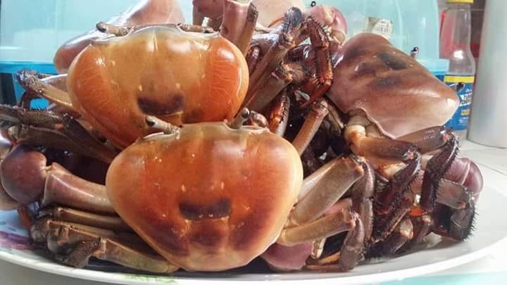 Katang: 8 Health Benefits of Freshwater Crab, Description, and Disadvantages