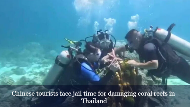 Chinese Tourists Land in Jail for Damaging Choral Reefs in Thailand