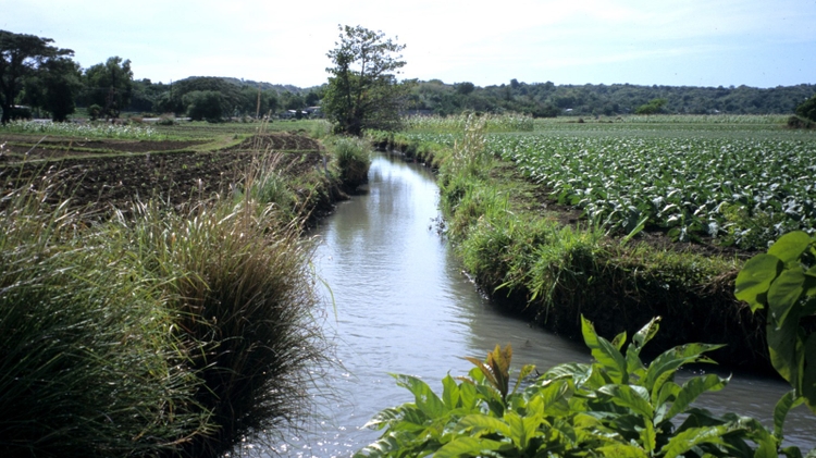 Philippine irrigation