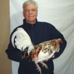 Bill Roberts Gamefowl