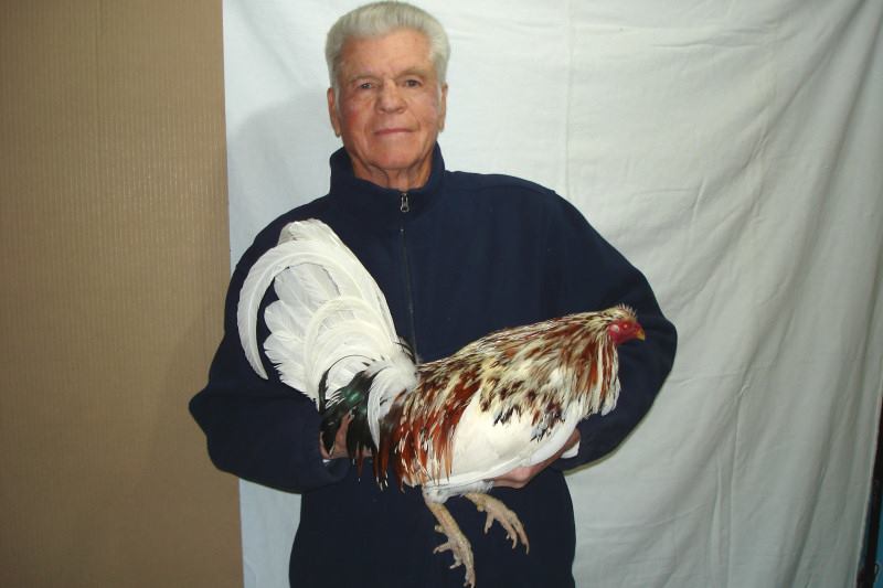 Bill Roberts Gamefowl