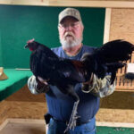 Bobby Payton Gamefowl
