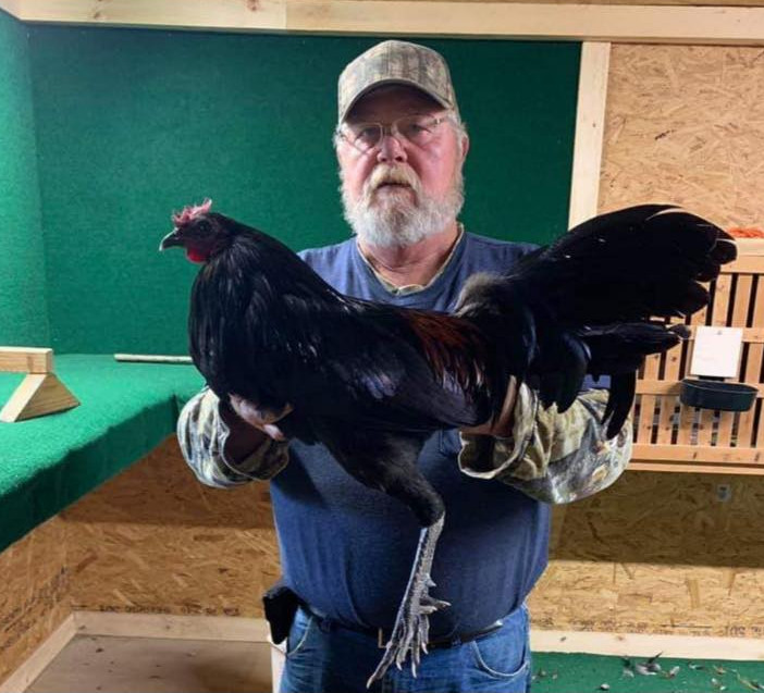 Bobby Payton Gamefowl