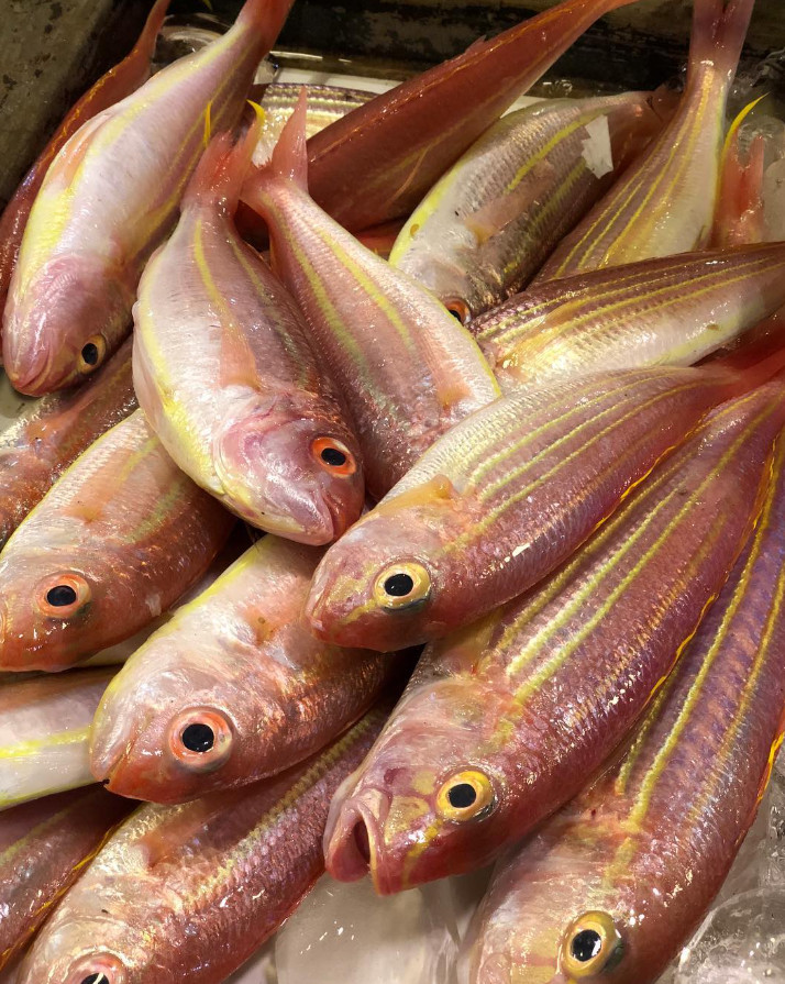 Threadfin bream fish bisugo
