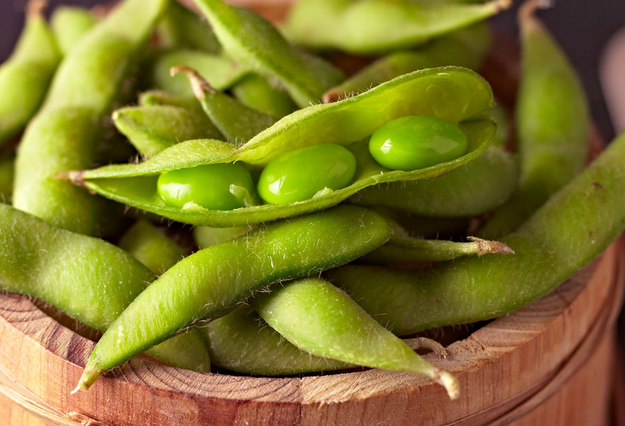 how to grow soybeans and harvest