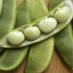 lima beans deed pods