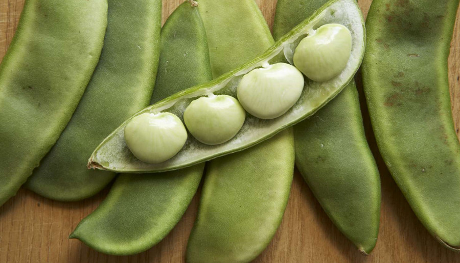 lima beans deed pods