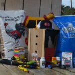 Complete Guide to Gamefowl Supplies for Beginners