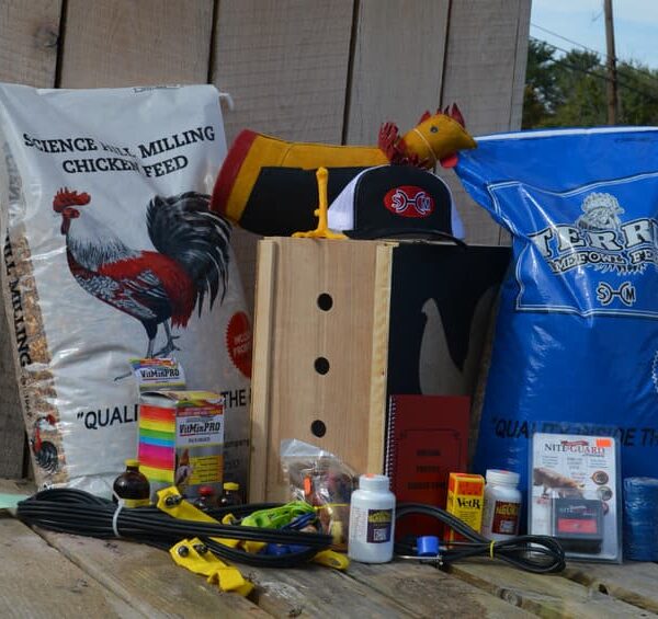 Complete Guide to Gamefowl Supplies for Beginners